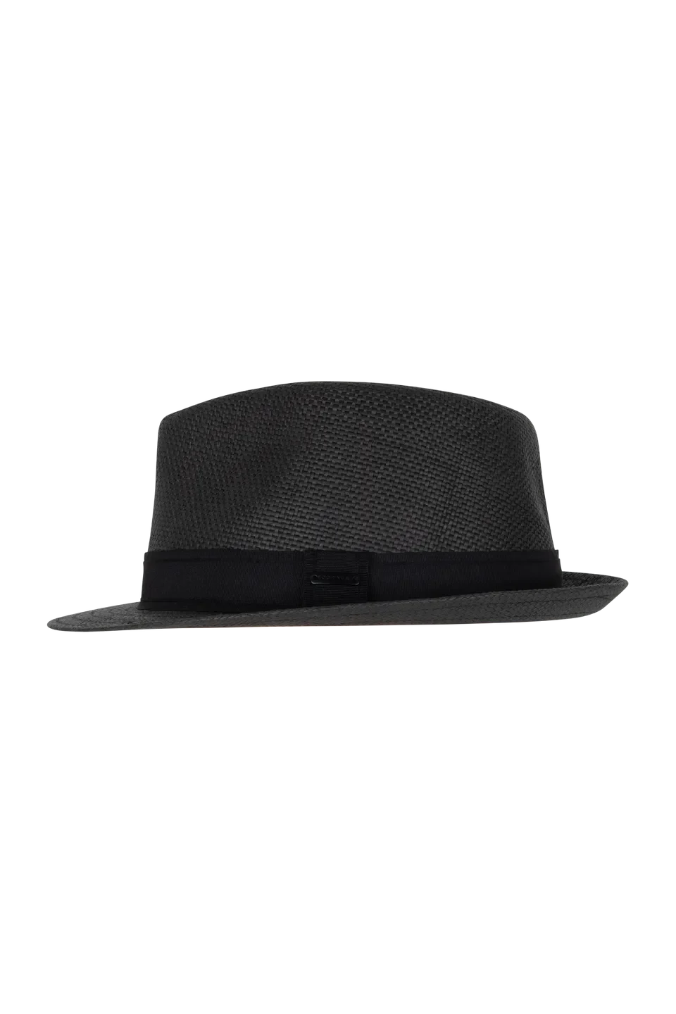 Arlo Fedora