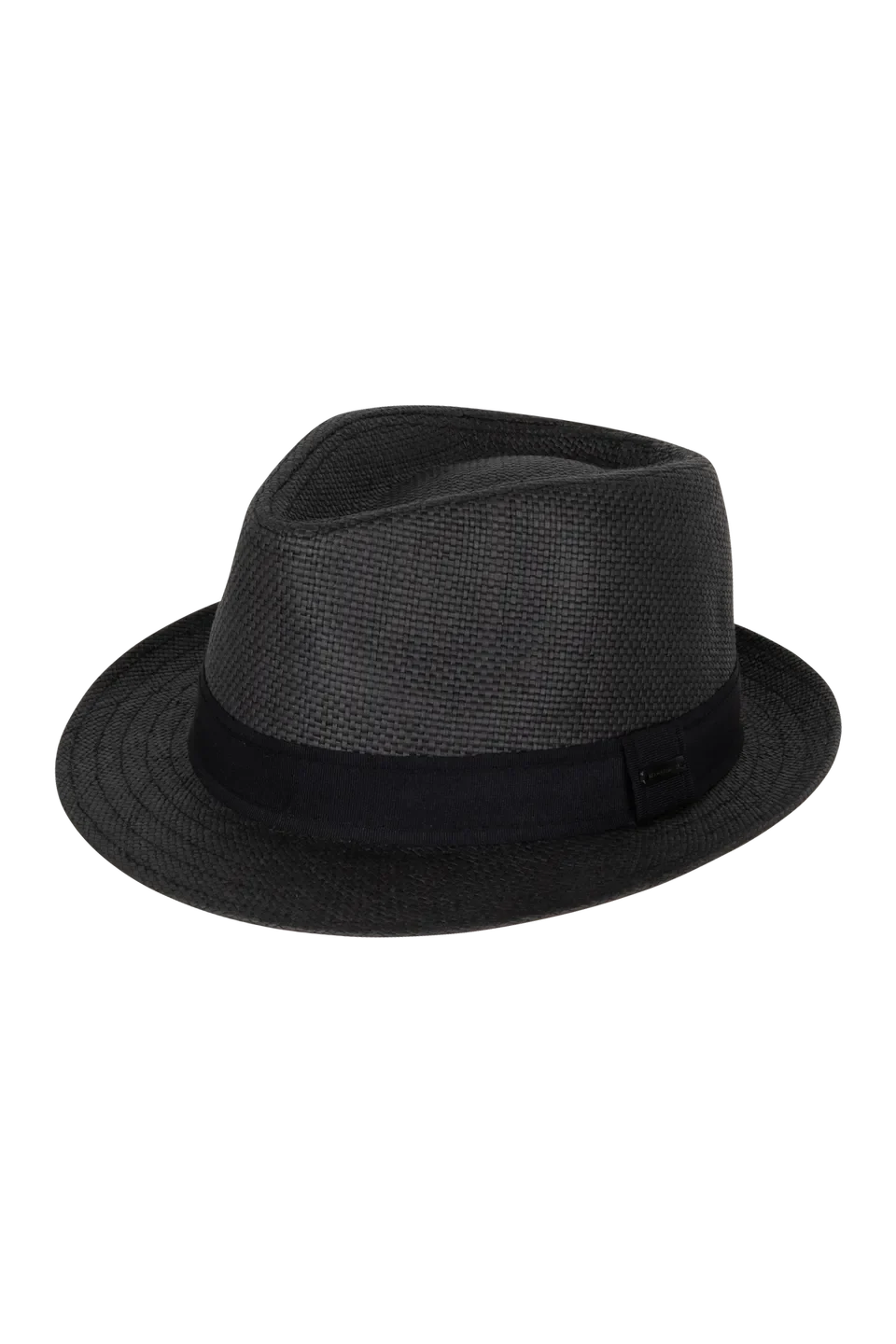 Arlo Fedora
